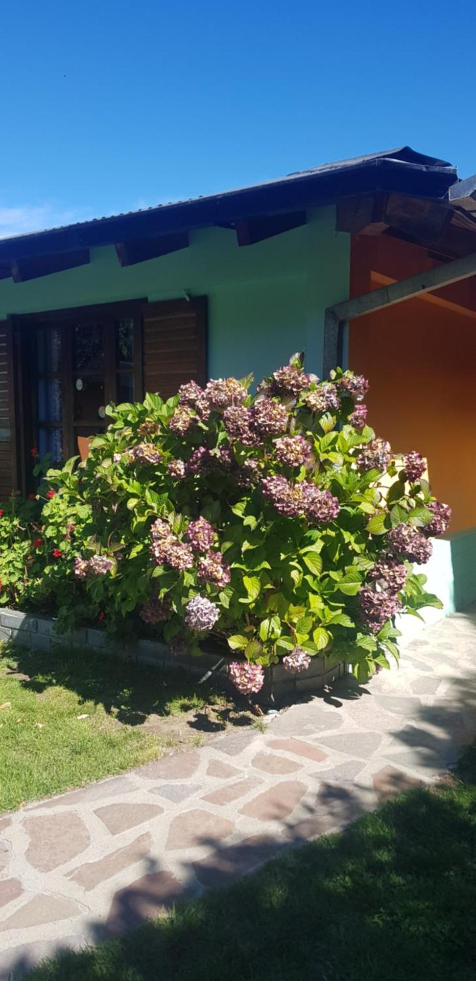 La Estacion Hostel Lago Puelo Ngoại thất bức ảnh